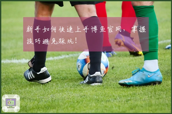 新手如何快速上手博鱼官网，掌握技巧避免踩坑！