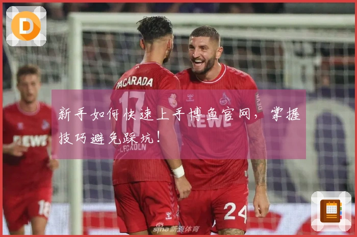 新手如何快速上手博鱼官网，掌握技巧避免踩坑！
